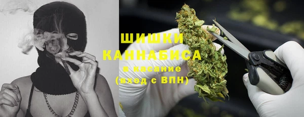 стаф Баксан