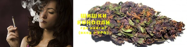 стаф Баксан