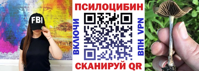 сколько стоит  Баксан  Псилоцибиновые грибы мицелий 