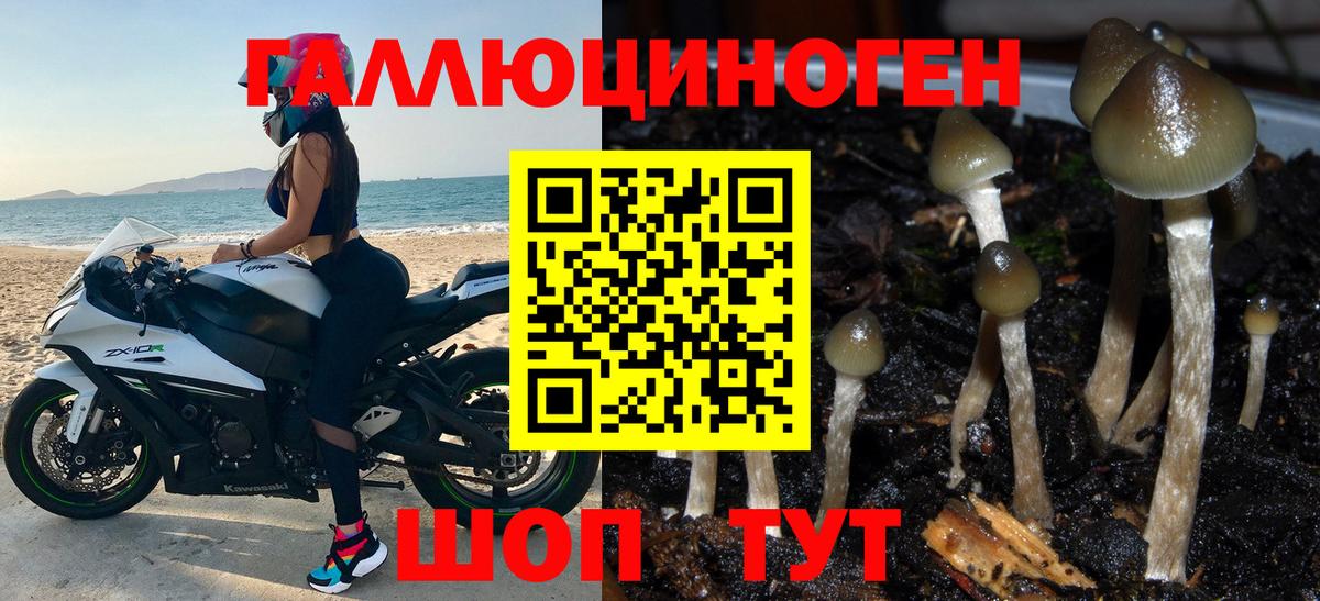 Псилоцибиновые грибы GOLDEN TEACHER Баксан