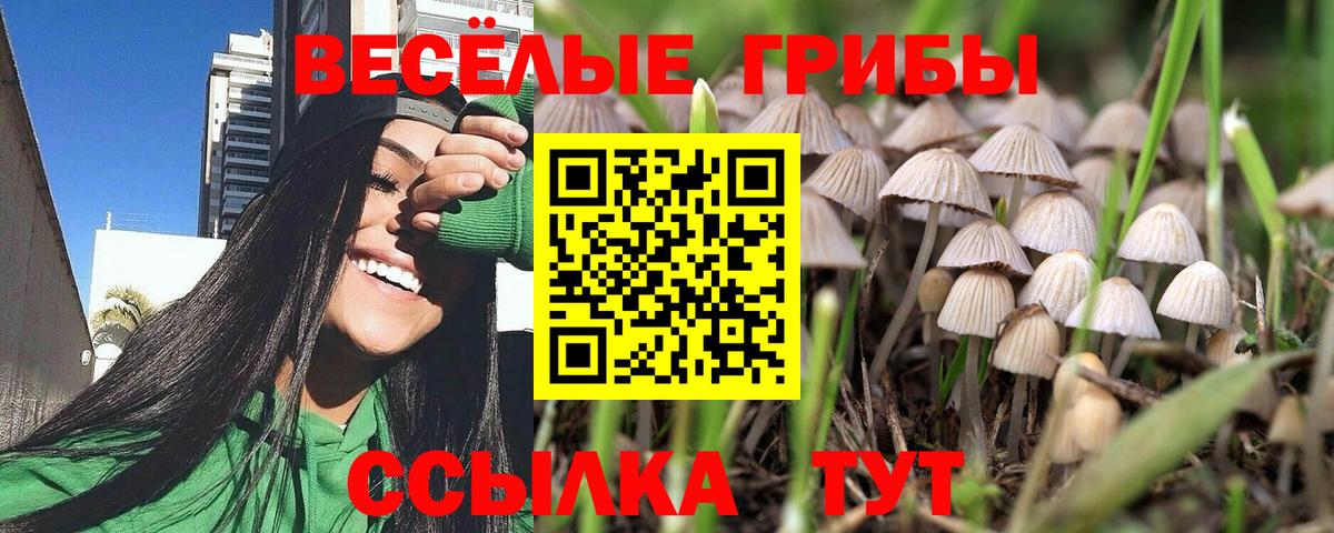 Галлюциногенные грибы прущие грибы  Псилоцибиновые грибы Psilocybine cubensis  закладки  Баксан  Вход с VPN 